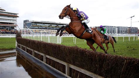 newbury race card today|Newbury Tips, Racecards And Results Today .